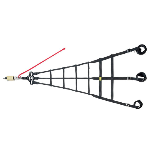 OMP Professional Driver Side Net - Shifted Motorsports